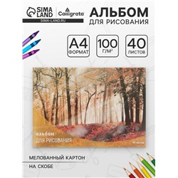 Альбом для рисования А4, 40 листов на скрепке «Лес осенью», обложка мелованный картон, внутренний блок офсет 100 г/м²