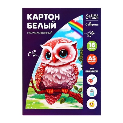 Картон белый А5, 16 листов, немелованный, плотность 200 г/м2, в папке