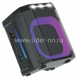Колонка 08" (30-81 DANCE BOX 550) динамик 1шт/8" ELTRONIC с TWS