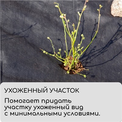 Круг приствольный, d=1 м, плотность 60 г/м², спанбонд с УФ-стабилизатором, набор 2 шт., чёрный, Greengo, Эконом 20%