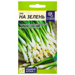Семена Лук на Зелень, ц/п, 0,5 г