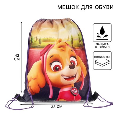 Мешок для обуви 420×330 мм, «Скай, Щенячий патруль»