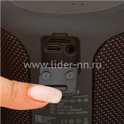 Колонка  ELTRONIC WINDY (20-78) TWS