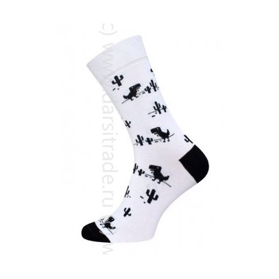Носки женские 21С4200В 004 Брестские Fajna Socks Conte [6шт] Дроп х/б