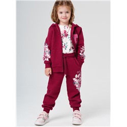 Комплект для девочки: толстовка, брюки