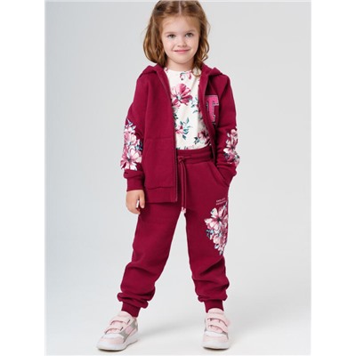 Комплект для девочки: толстовка, брюки