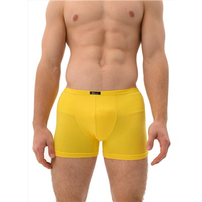 Мужские трусы Berrak