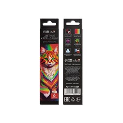Карандаши цветные 6 цветов TOP Calligrata, супермягкие, в картонной коробке, диаметр грифеля 3 мм, 5B