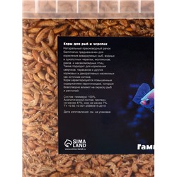 Корм для рыб и черепах «Пижон» гаммарус тушка, ведро, 3.3 л