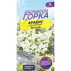 Семена Арабис Белый Альпийский, арт.: 13641