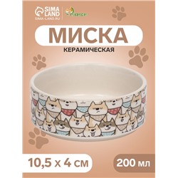 Миска керамическая "Хаски" 200мл, 10,5 х 4 см