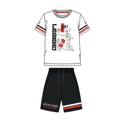 Комплект для мальчика: футболка, шорты