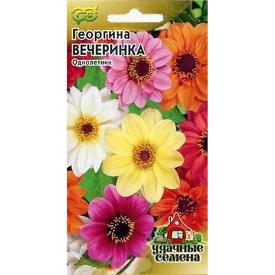 Георгина Вечеринка
