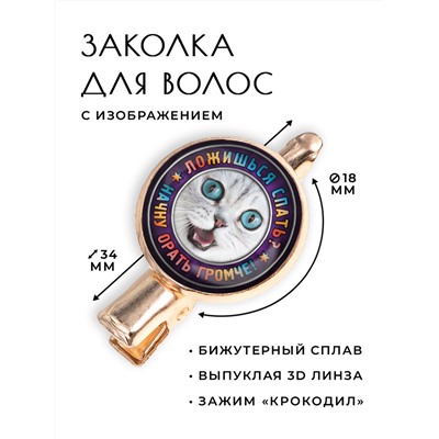 HZF-0364 Заколка Ложишься спать?
