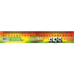 Закладка-линейка 25 см "ХЕТТРИК" ЗЛ-25 Пчелка