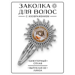 HZG-0353 Заколка Тихо стырил и ушёл