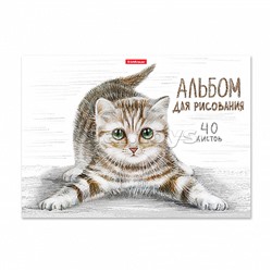 Альбом для рисования 40 л. "Tabby" А4, на клею