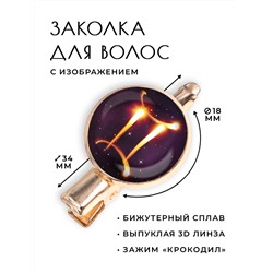 HZF-0319 Заколка Знаки Зодиака - Близнецы