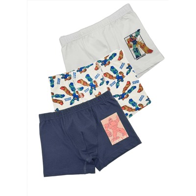 Трусы для мальчика Berrak