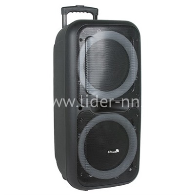 Колонка 12"  (20-05 DANCE BOX 500) динамик 2шт/12" ELTRONIC с TWS