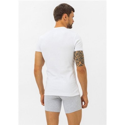 Футболка мужская, Pantelemone, MF-004 оптом