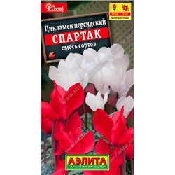 1673 Цикламен персидский Спартак, смесь сортов 3шт