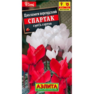 1673 Цикламен персидский Спартак, смесь сортов 3шт