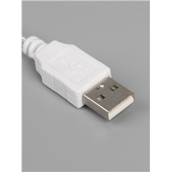 Неоновая вывеска «Молния» 13 × 33.5 см, батарейки ААх3 (не в комплекте), USB, свечение розовое