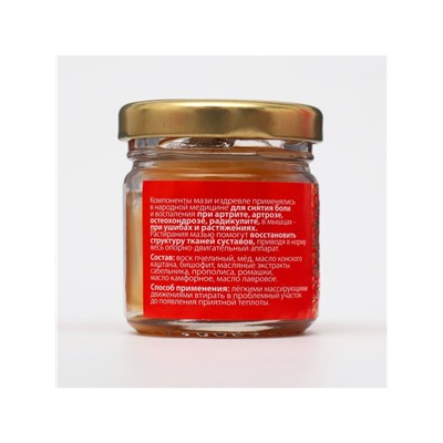 Мазь «Святая Рука» суставная, 30 мл