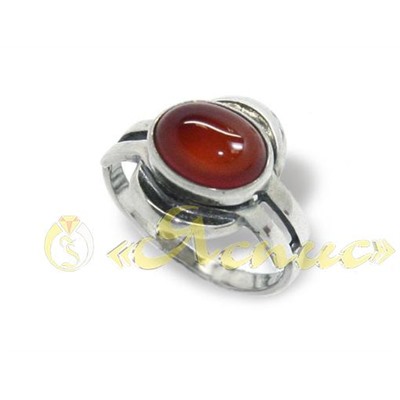 0402К   Пенелопа