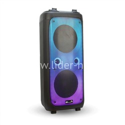 Колонка 10" (20-62 FIRE BOX 1000) динамик 2шт/10" ELTRONIC с TWS