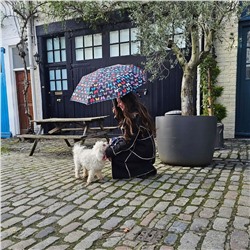 L354-4482 Butterfly (Бабочки) Зонт женский механика Fulton