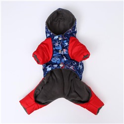 Комбинезон зимний для животных "Лыжник", XS (ДС 18-20, ОШ 22-24, ОГ 29-30 см), микс