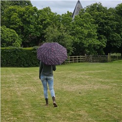 L354-4485 StrawberryGarden (Клубничный сад) Зонт женский механика Fulton