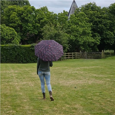 L354-4485 StrawberryGarden (Клубничный сад) Зонт женский механика Fulton