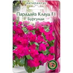 Катарантус Парадайз Клауд F1 Бургунди