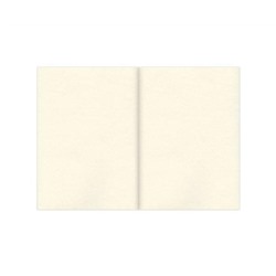 Скетчбук, слоновая кость 150г/м2, 148х210мм, 32л, склейка, BRAUBERG ART CLASSIC,128956