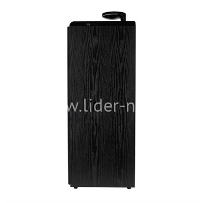 Колонка 10" (30-49 HOME SOUND) динамик 6шт/2х10";4х4"; 2х1.5" комплект 2 колонки ELTRONIC (черная)