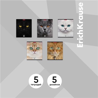 Тетрадь 96 листов в клетку ErichKrause Cats, обложка мелованный картон, матовая ламинация, выборочный УФ-лак, блок офсет 100% белизна, МИКС (1 вид в спай�...