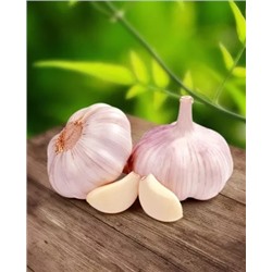 Чеснок озимый Шадейка, арт.: 1944