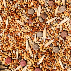 Корм «Верные друзья» для мелких и средних попугаев, с витаминами, 500 г