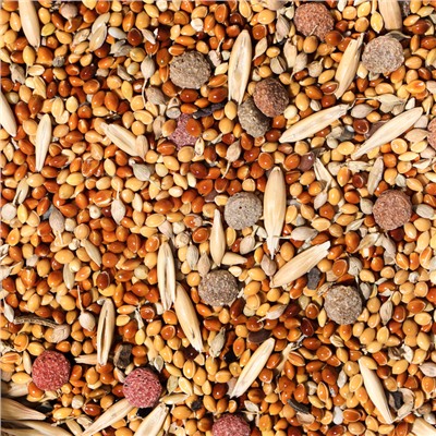 Корм «Верные друзья» для мелких и средних попугаев, с витаминами, 500 г