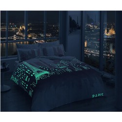 2-сп ЕВРО Постельное Бельё Сатин Glow Saten Paris Gül Kurusu TAC