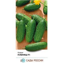 Семена Огурец Племяш F1, арт.: 74356