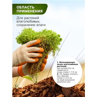 Мох сфагнум для террариумов "Рецепты дедушки Никиты" 3 л