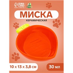 Миска керамическая для грызунов "Морковь" 10 х 13 х 3,8 см