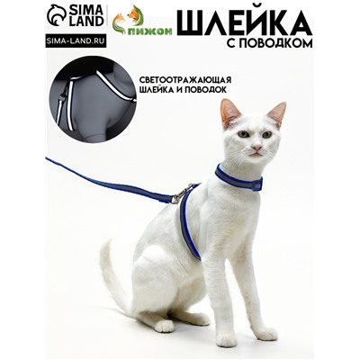Комплект для кошек светоотражающий,ширина 1 см,шлейка 21-35 см,поводок 120 см, синий