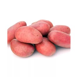 Семенной Картофель Люкс, арт.: 4085