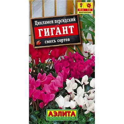 1669 Цикламен персидский Гигант, смесь сортов 3шт