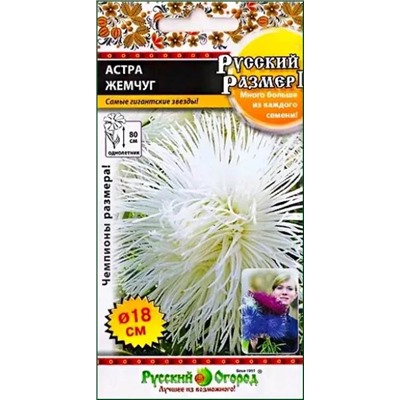 Семена Астра Русский размер I Жемчуг, арт.: 12958